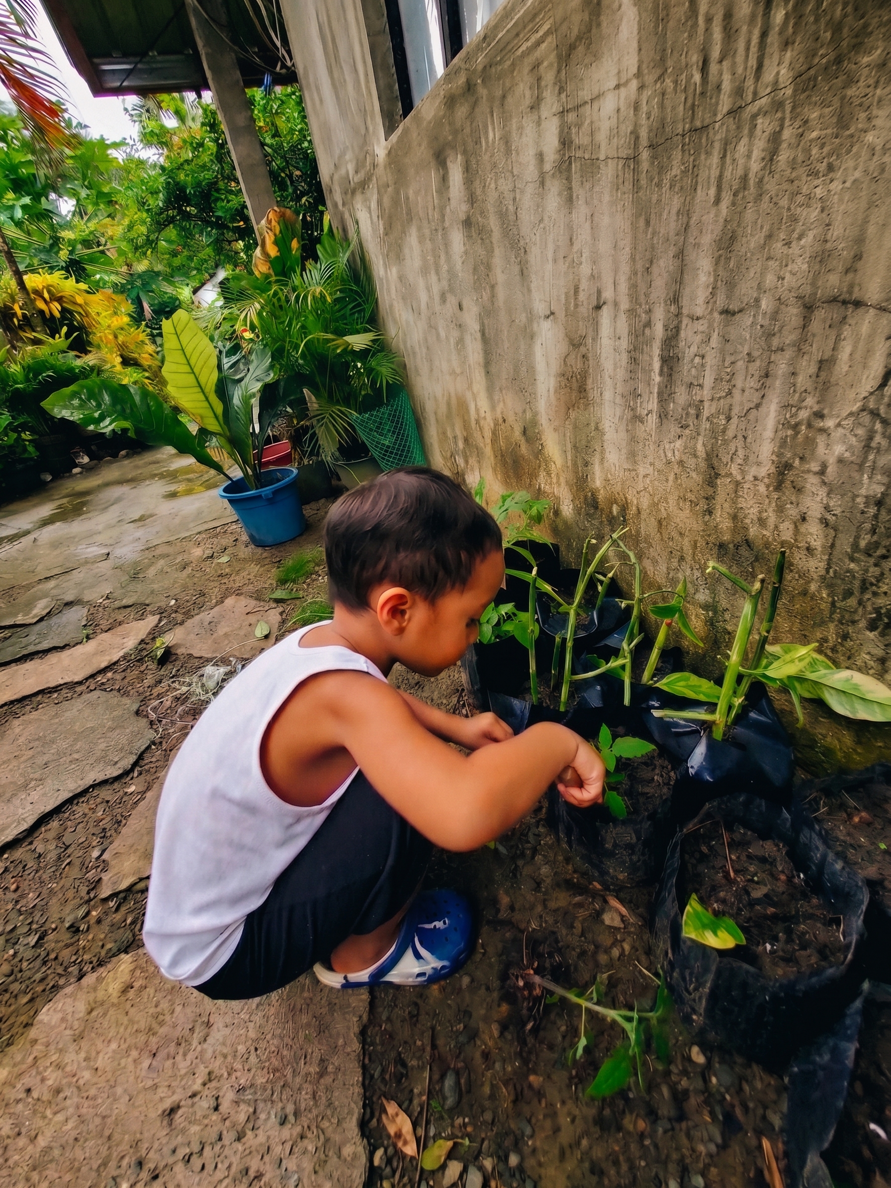 A child tending seedlings in a home garden